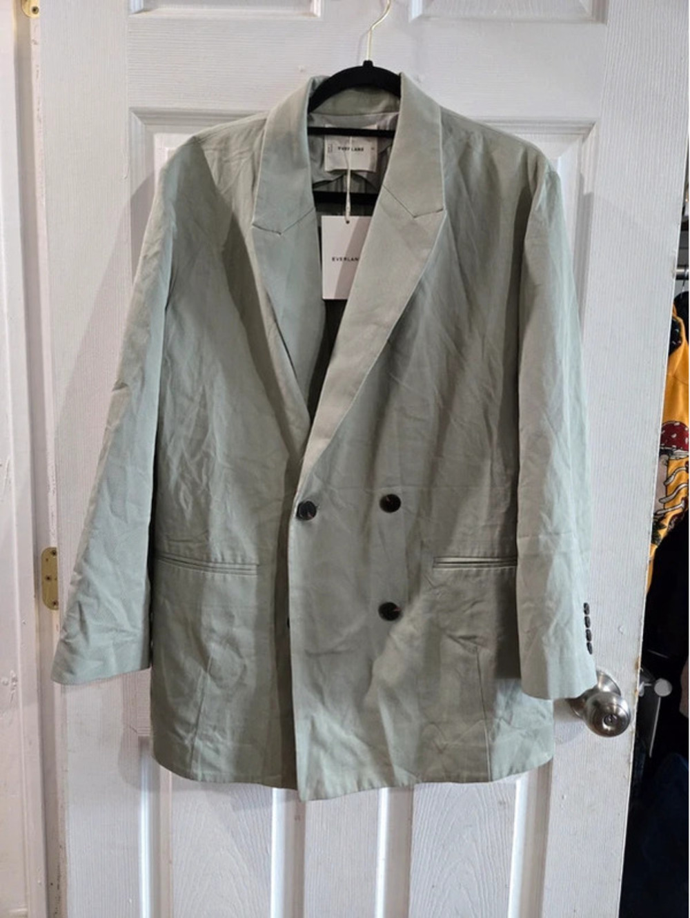 Everylane blazer saga green nwt size 10